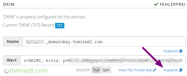 DKIM-Eintrag kopieren